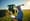 NIR Sensor Applications for Silage Quality Management